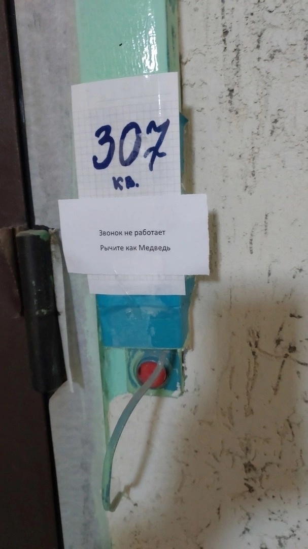 18299939.jpg