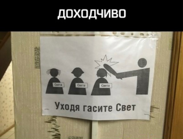 18301269.jpg
