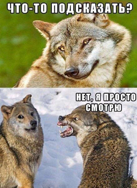 4638c1bd6c3562df9cd551d273f2f96f.jpg