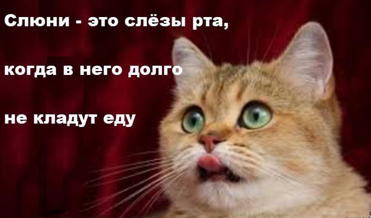 IMG_4350.JPG