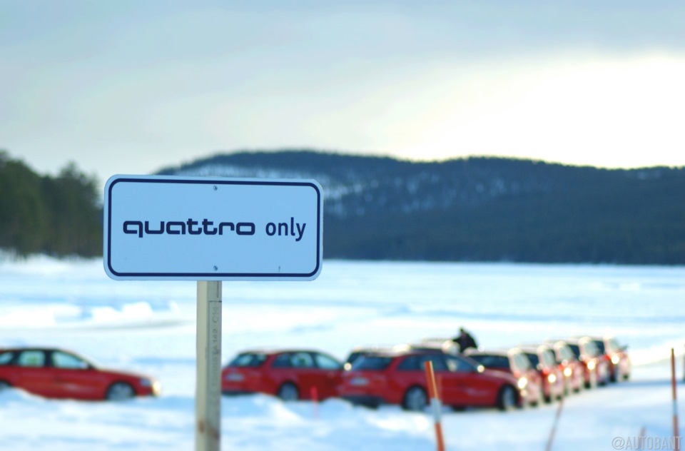 Quattro only5.jpg