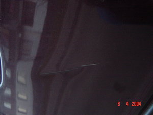 dsc01520.jpg