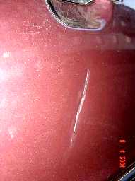 dsc01521.jpg