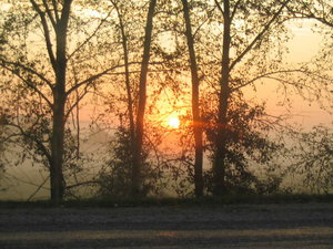 img_2147.jpg