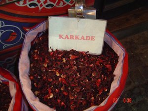 dsc00515.jpg