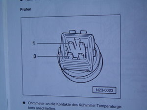 dsc03719.jpg