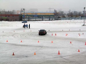img_0310.jpg