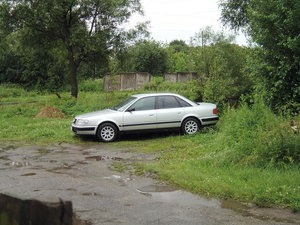dsc03625-1.jpg