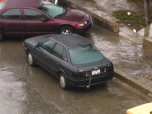 img_0288.jpg