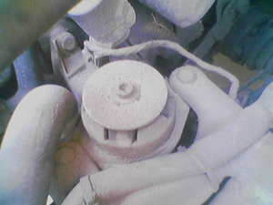 050504_185502.jpg