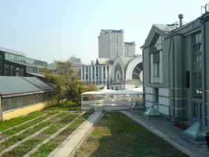 DSC05881.JPG