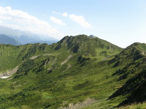 IMG_0490.jpg