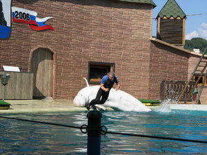 IMG_0316.jpg