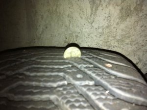 IMG_0449.jpg
