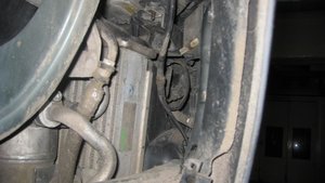 IMG_4701.jpg