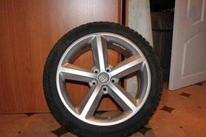 IMG_1017.jpg