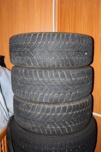 IMG_1019.jpg