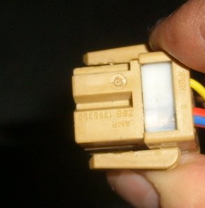 STP62221.JPG
