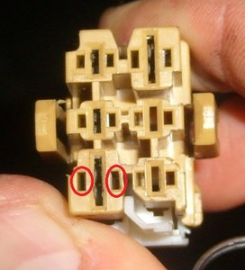 123.JPG