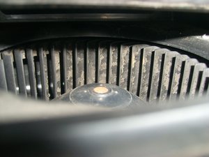 STP62225.JPG