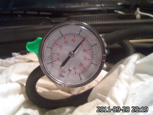 IMG461.jpg