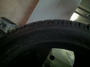 IMG_0531.jpg