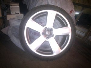 IMAG0316.jpg