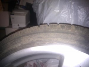 IMAG0320.jpg