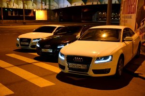 DSC_8855-1.jpg