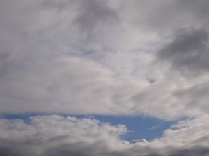 DSC02501.JPG