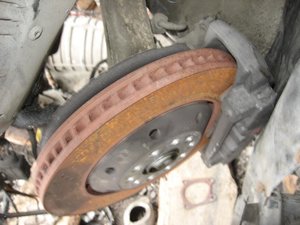 IMG_9981.jpg