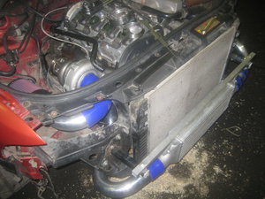 IMG_3437.jpg