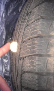 IMAG0228.jpg