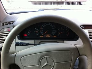 IMG_3098.jpg