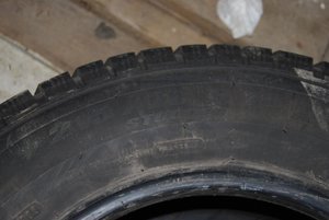 DSC_0006.jpg