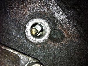 IMG_0383.jpg