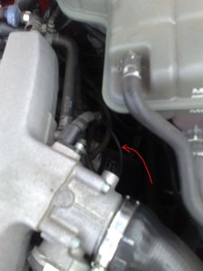 161020113198.jpg