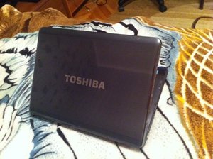 IMG_0232.jpg