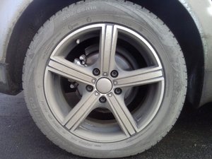 IMG_20111024_110724.jpg