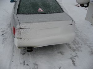 IMG_2859.jpg