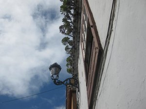 IMG_6656 copy.jpg