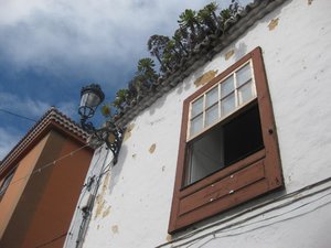 IMG_6657.jpg