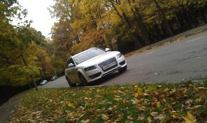 IMAG0177.jpg