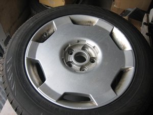 IMG_8736.JPG