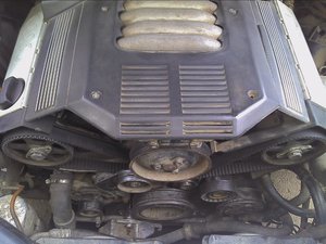 IMG_20111103_144931.jpg