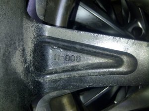 IMG-20111104-00851.jpg