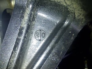IMG-20111104-00853.jpg