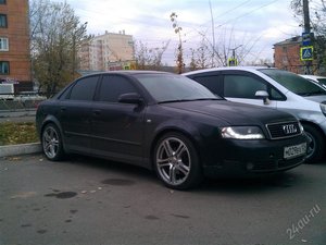 2645034.jpg