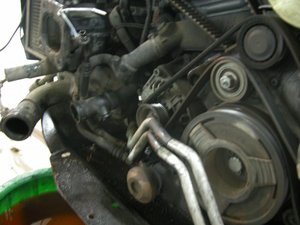DSCN7043.jpg