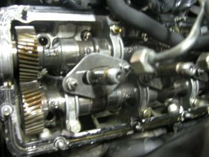 DSCN7045.jpg